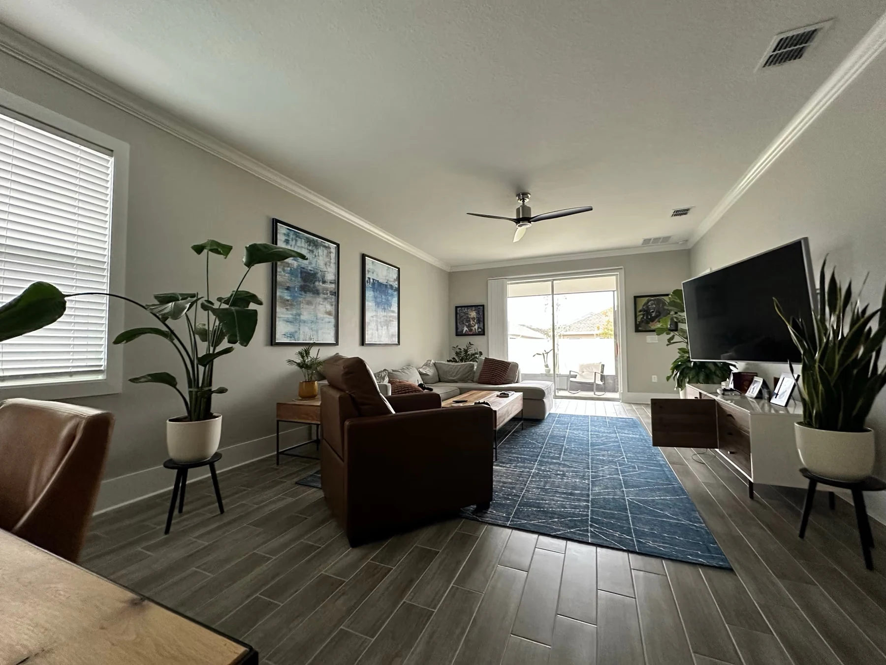 Interior study with plants and natural materials