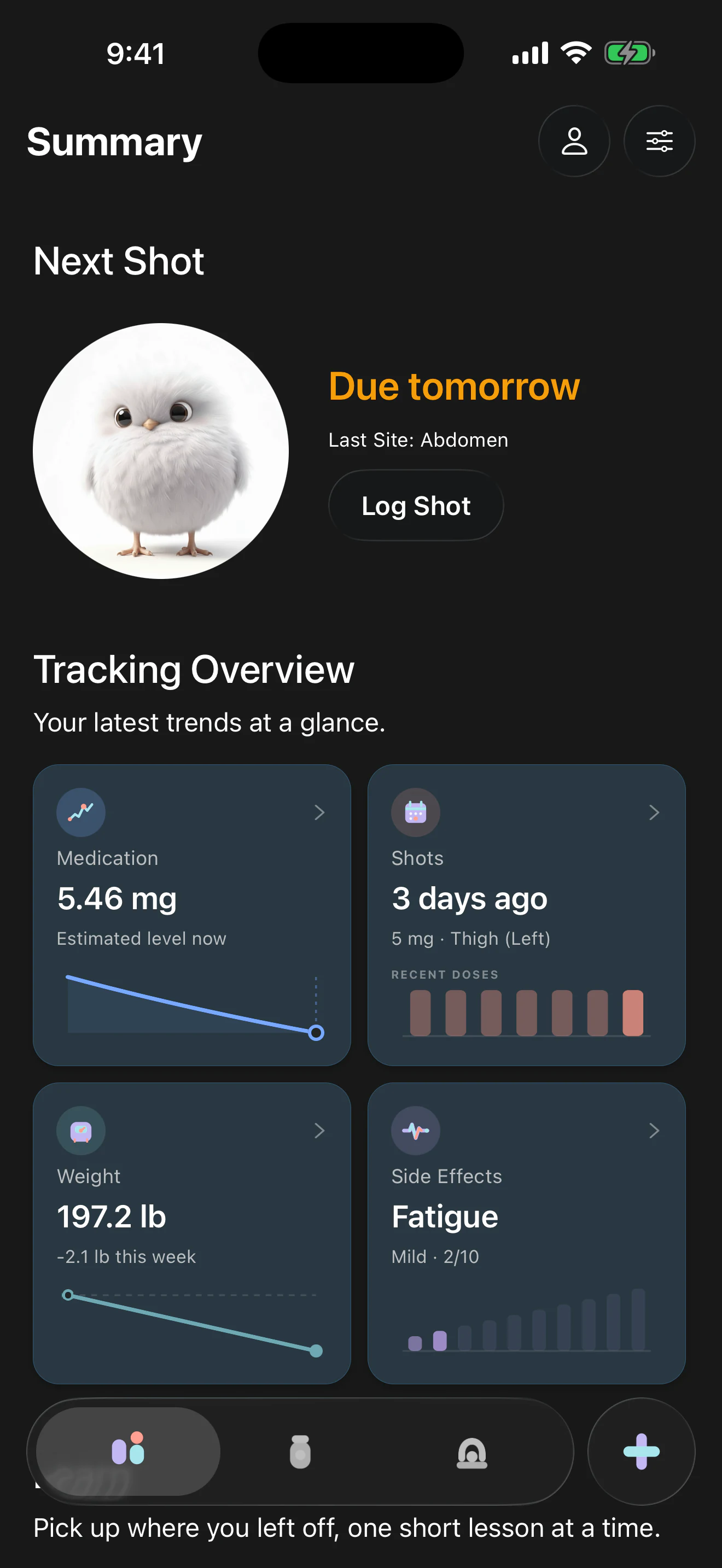 ShotNest treatment summary screen